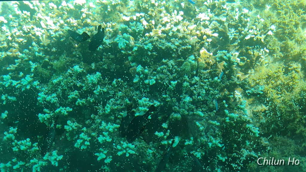 玉城玉城
